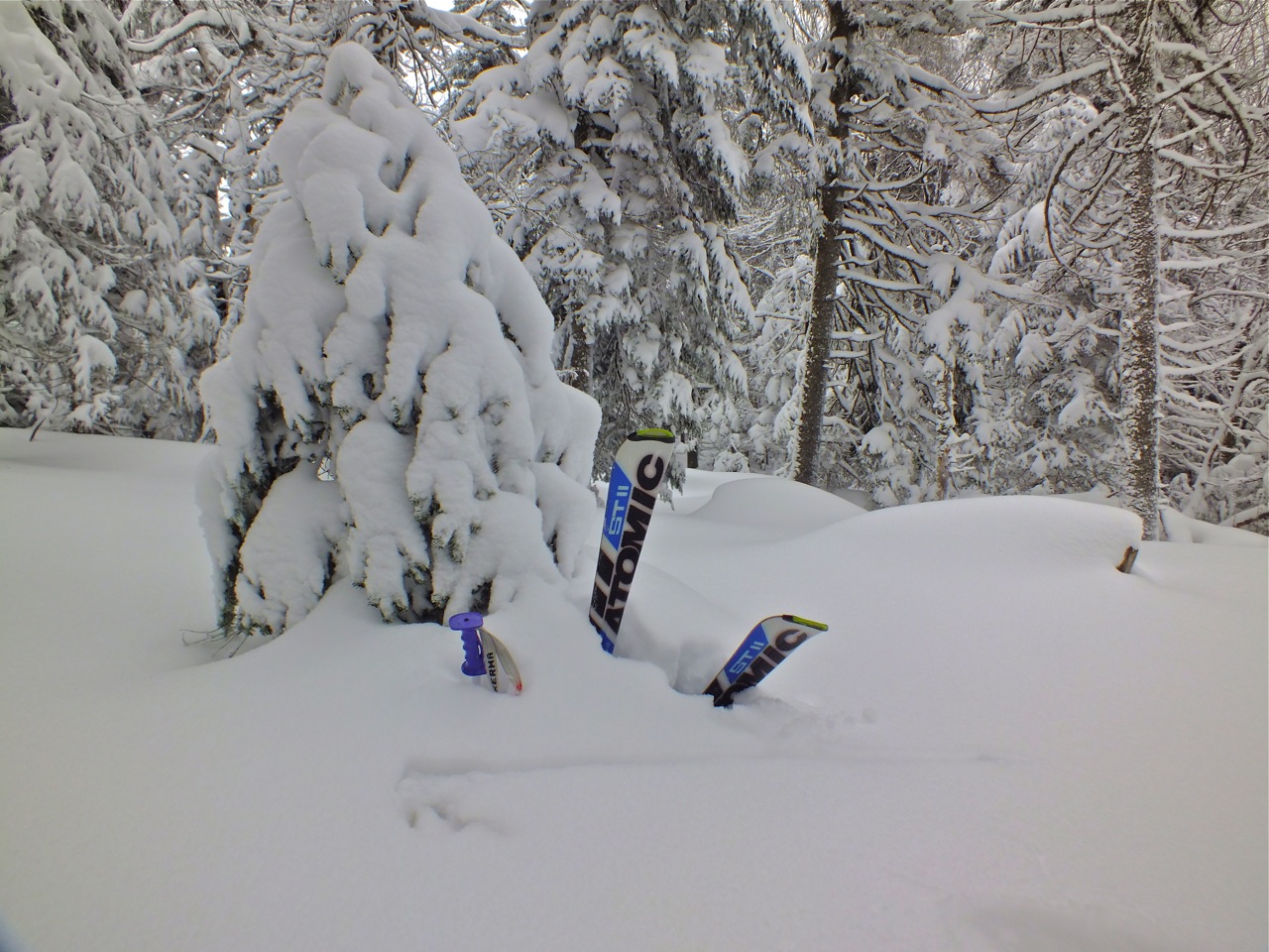 www.Tremblant360.com photo. All rights reserved.