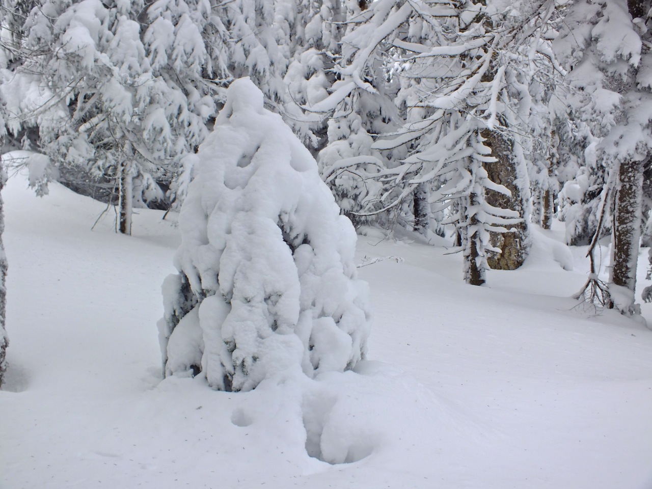 www.Tremblant360.com photo. All rights reserved.