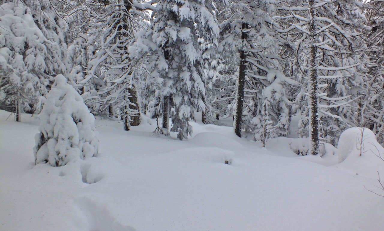 www.Tremblant360.com photo. All rights reserved.