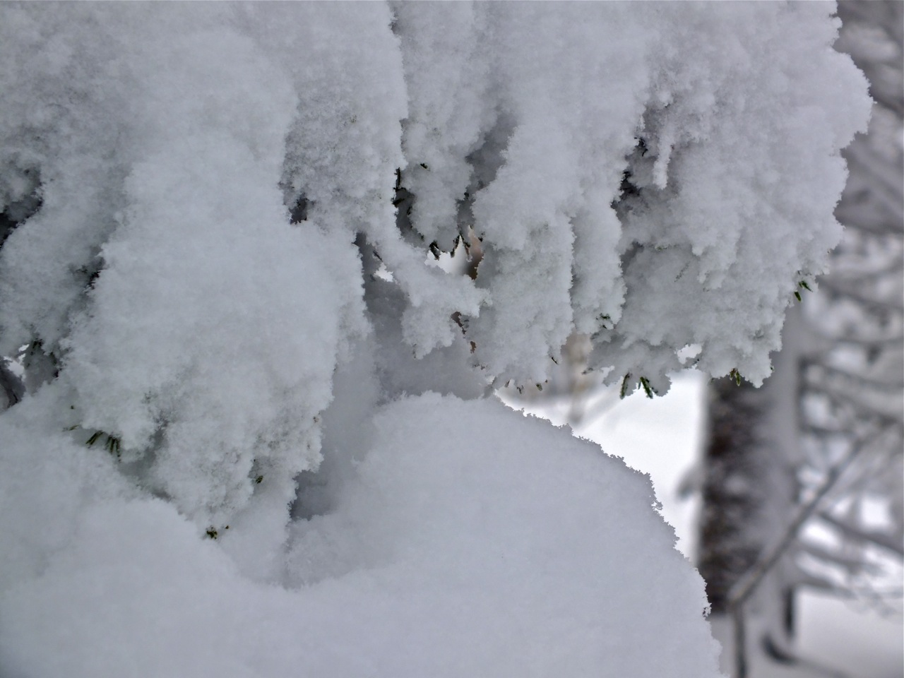 www.Tremblant360.com photo. All rights reserved.