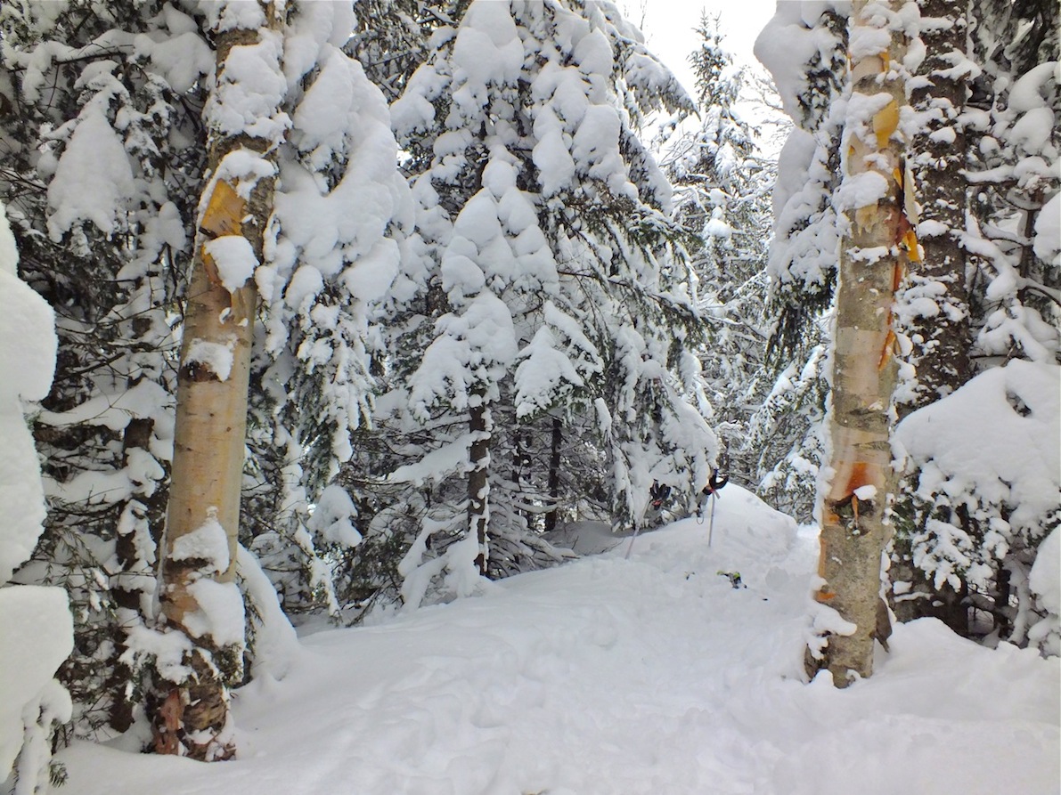 www.tremblant360.com photo. All rights reserved.