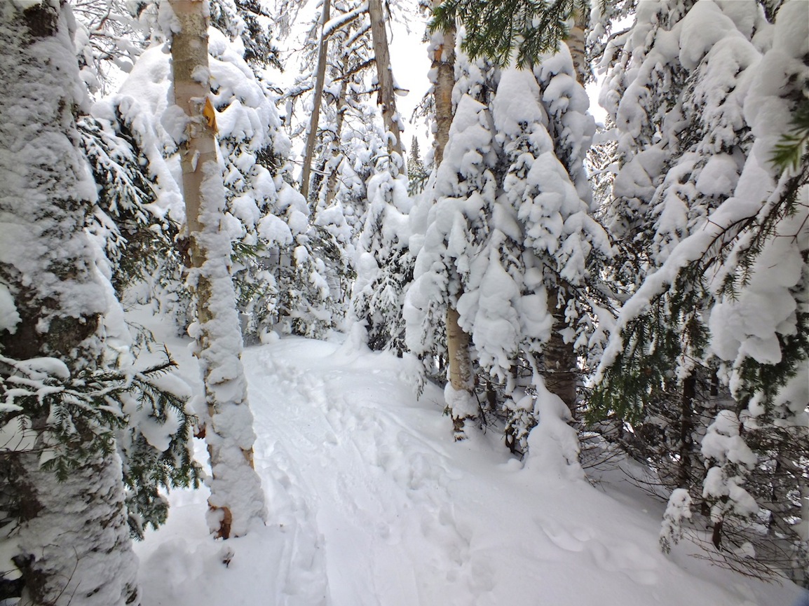 www.Tremblant360.com photo. All rights reserved.