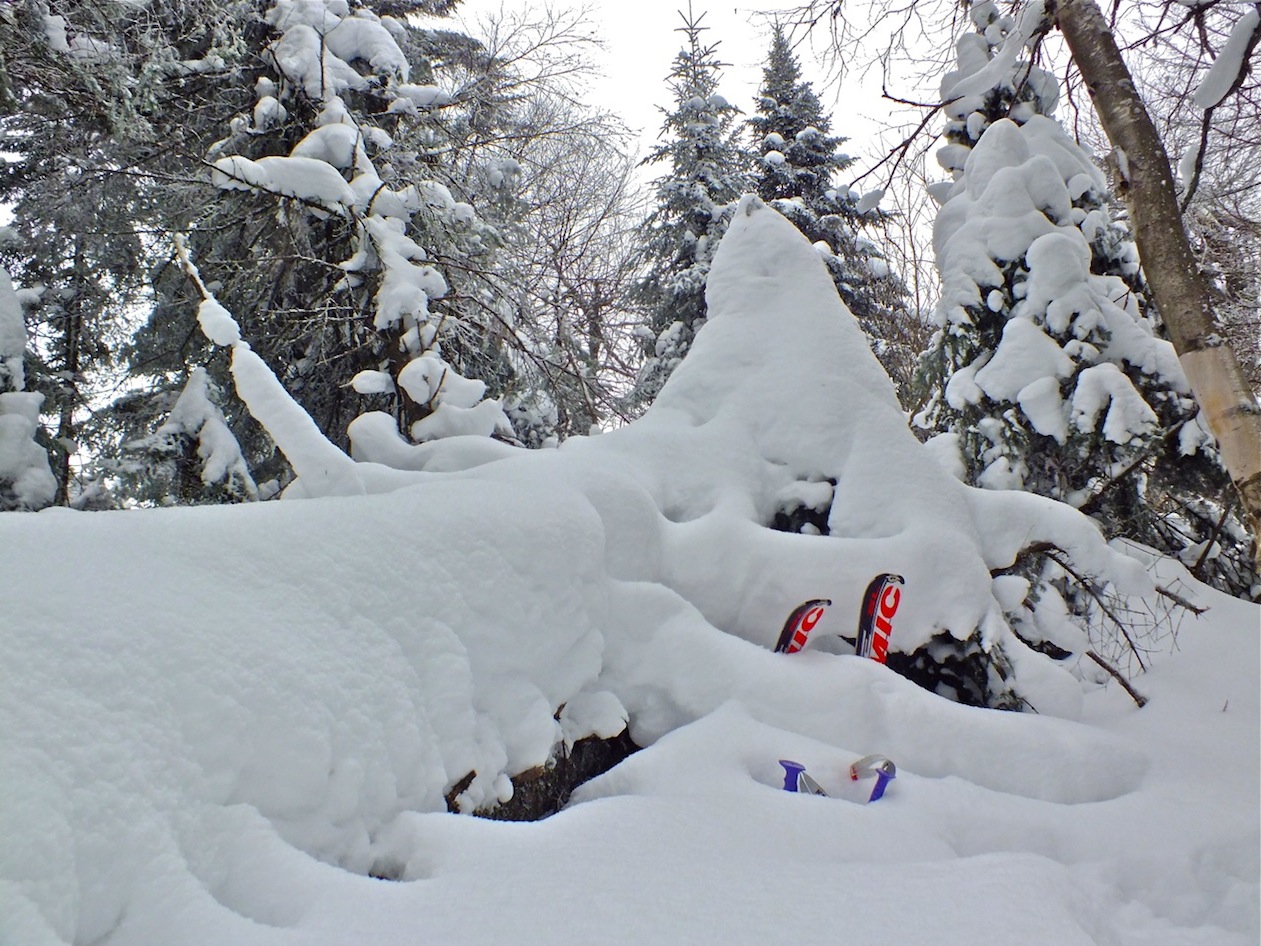 www.tremblant360.com photo. All rights reserved.