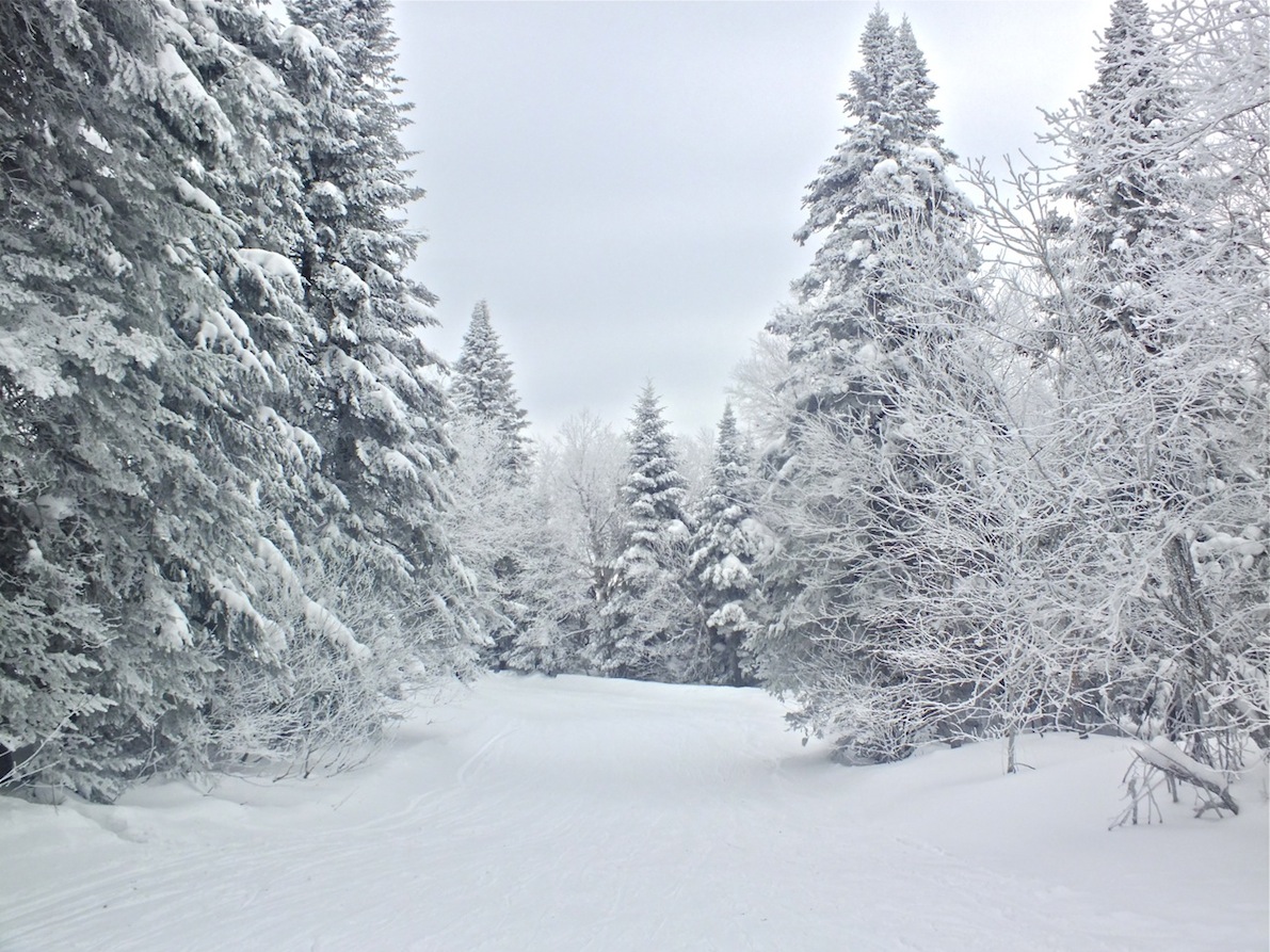 www.tremblant360.com photo. All rights reserved.