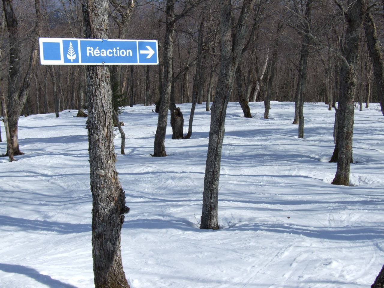 www.tremblant360.com Photo. All rights<br />reserved