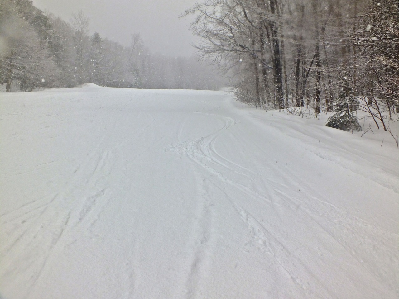 2.21.14.Sissy.Schuss.Bas.Shred.This.b.jpg