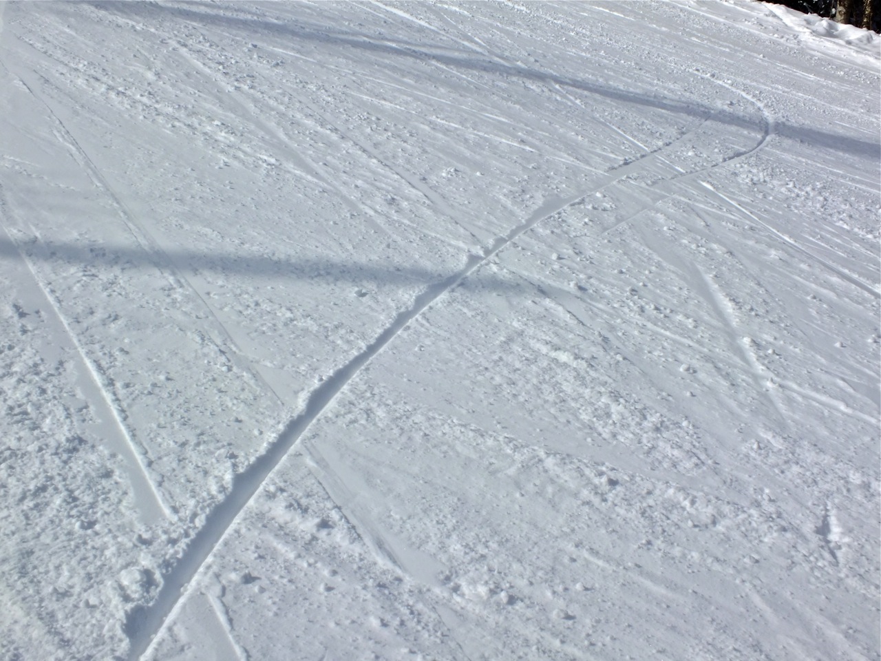 www.tremblant360.com photo. All rights reserved.