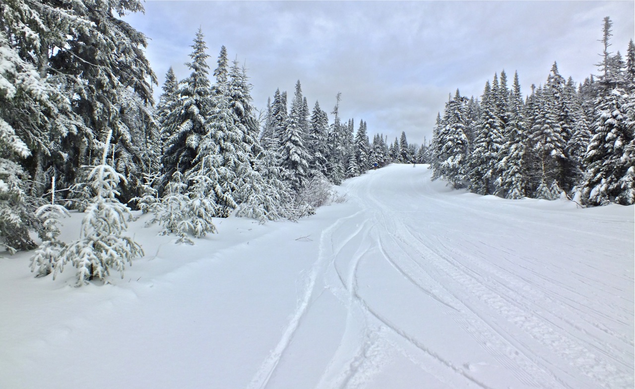 www.tremblant360.com photo. All rights reserved.