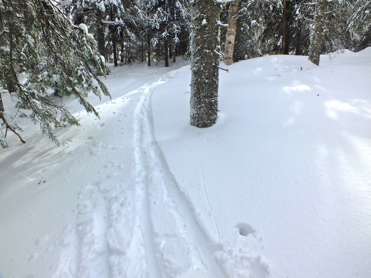 3.29.14.Lowell.Thomas.Trail.Side.Fresh.Snow.c.jpg