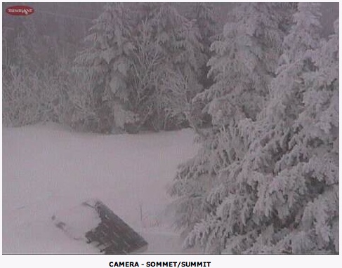 Screen Shot 2014-03-21 at 8.33.49 AM.jpg