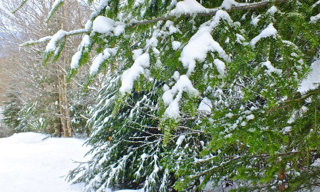 www.tremblant360.com photo. All rights reserved.