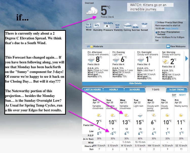 Screenshot Courtesy of The Weather Network.