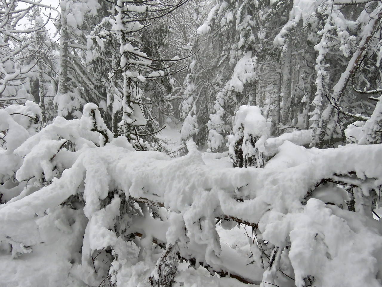 www.tremblant360.com photo. All rights reserved.