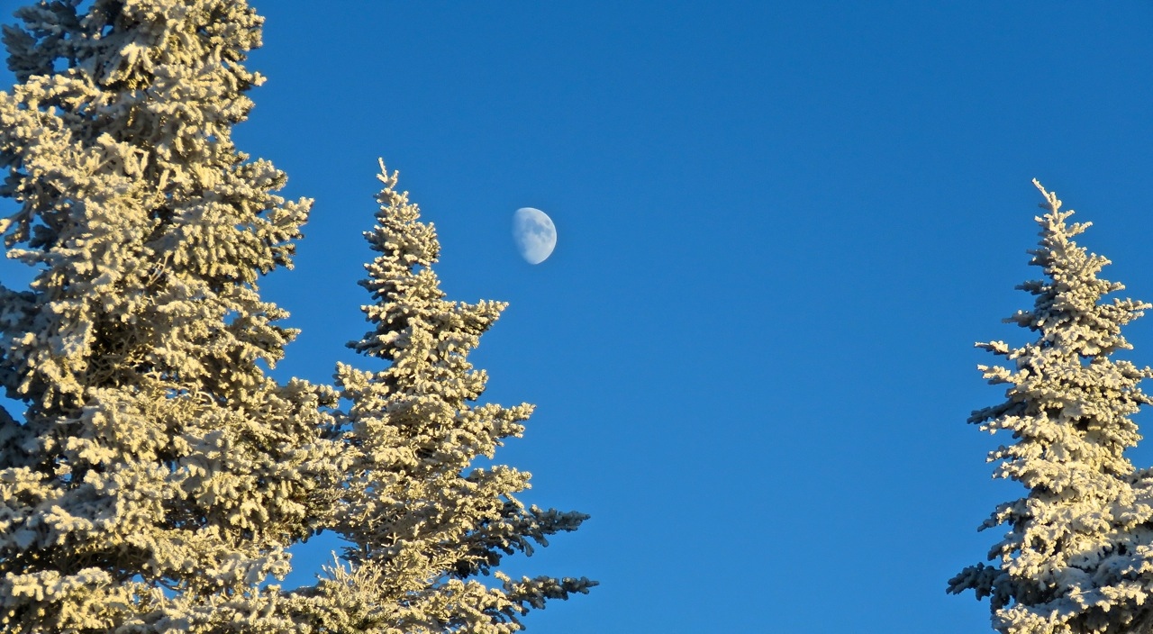 www.tremblant360.com photo. All rights reserved.