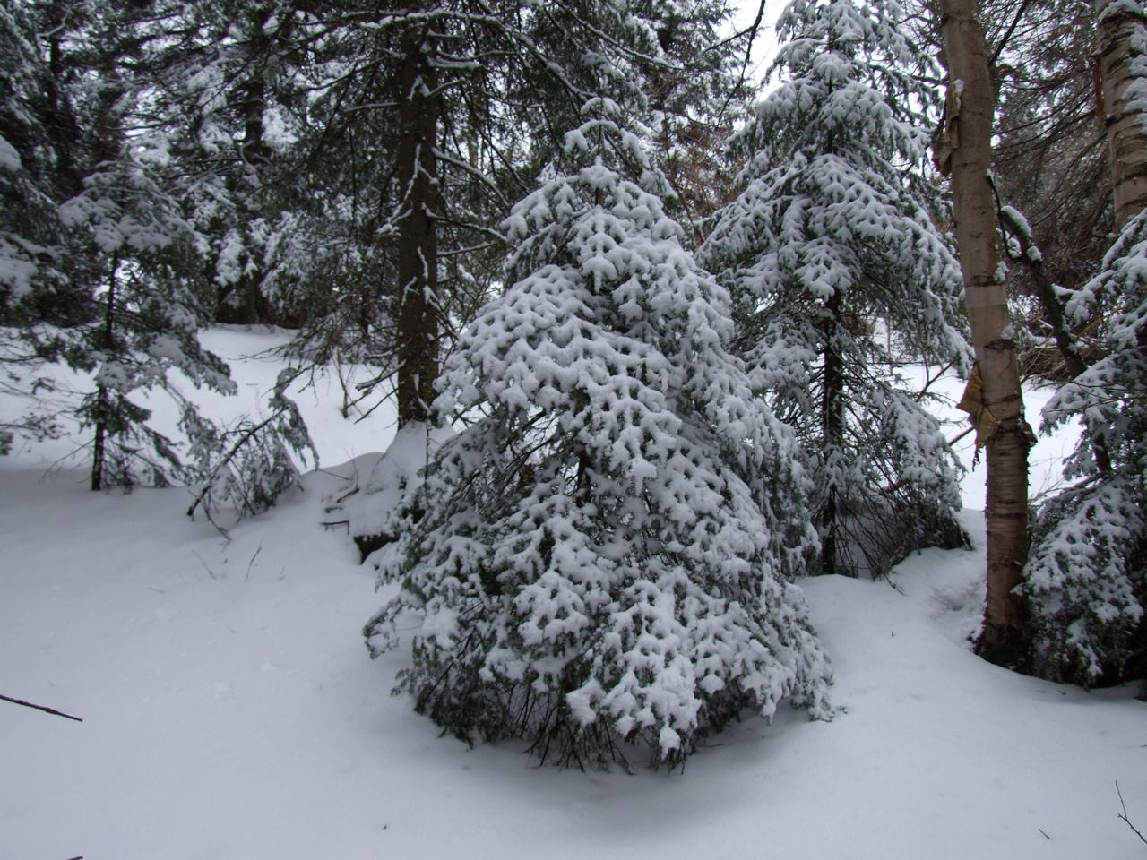 www.tremblant360.com Photo. All rights reserved.