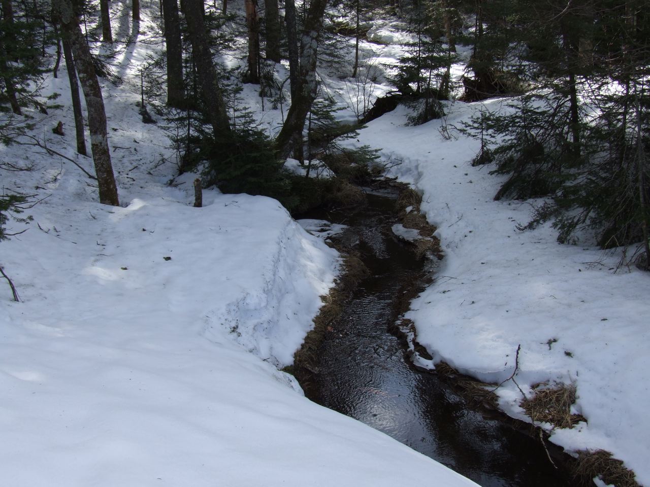 www.tremblant360.com Photo. All rights reserved.