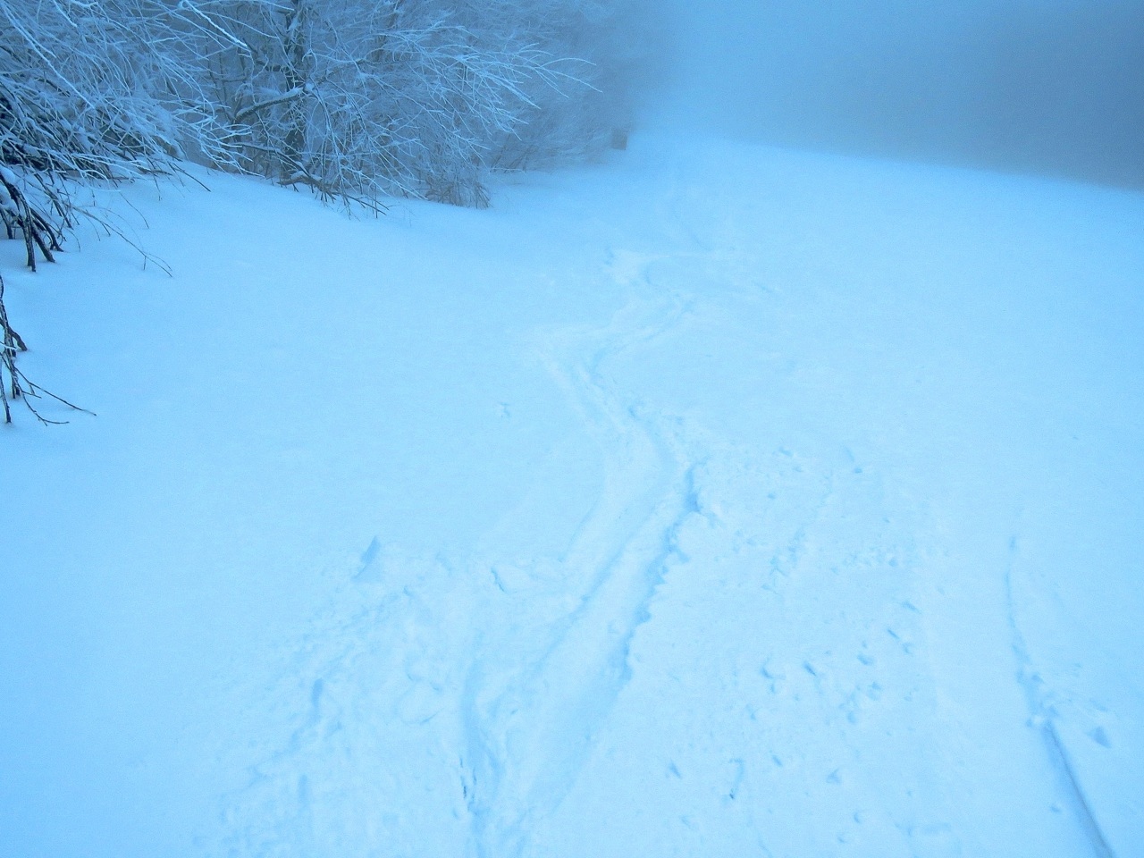 www.tremblant360.com photo. All rights reserved.