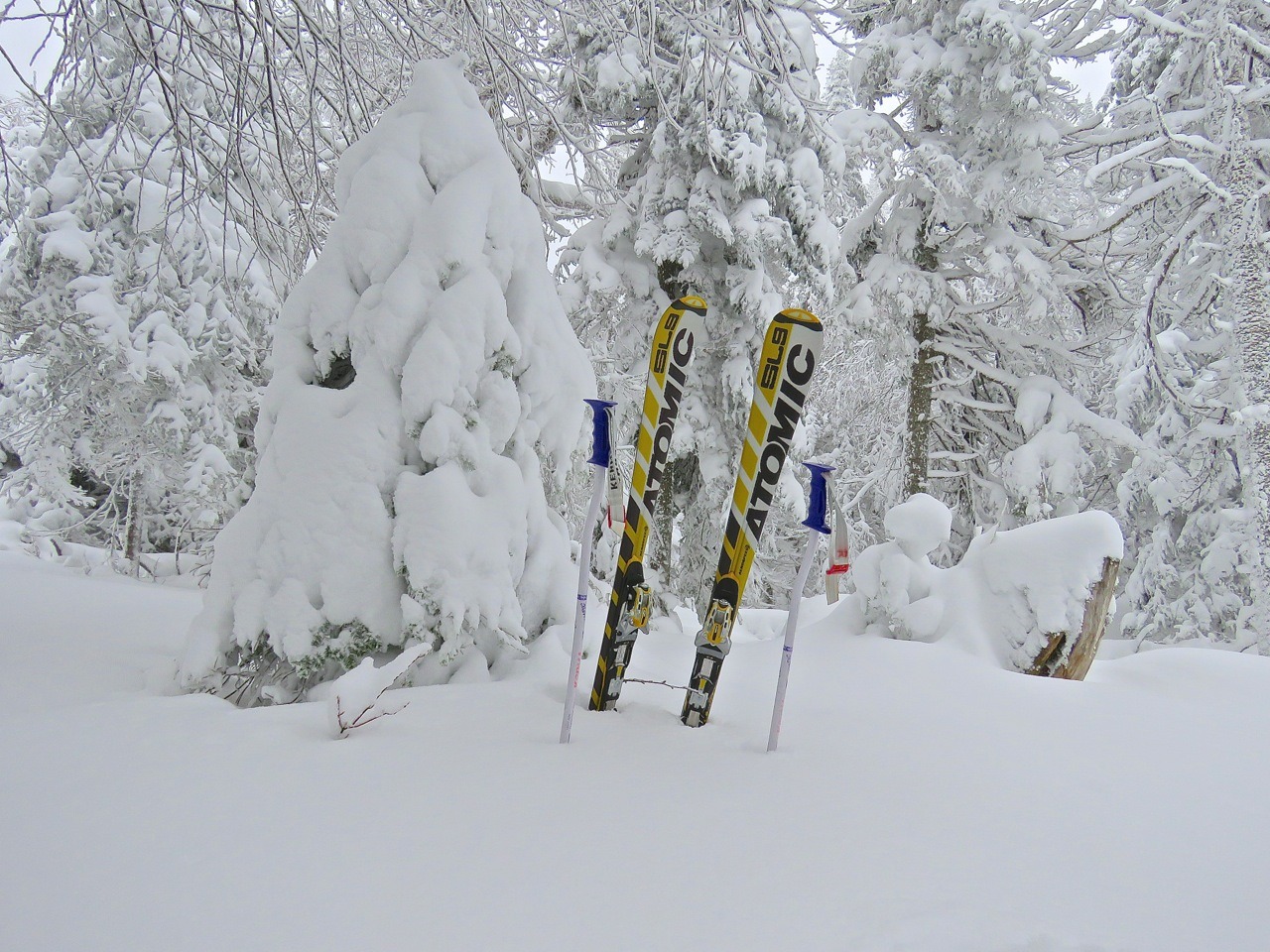 www.tremblant360.com photo. All rights reserved.