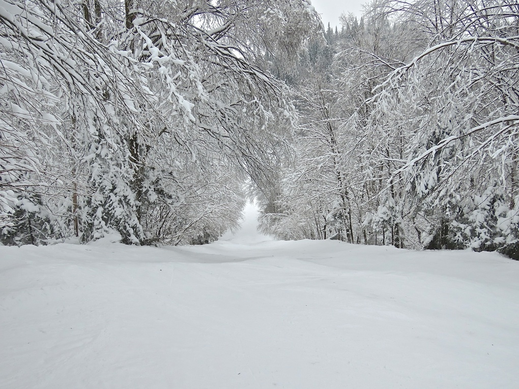 www.tremblant360.com photo. All rights reserved.