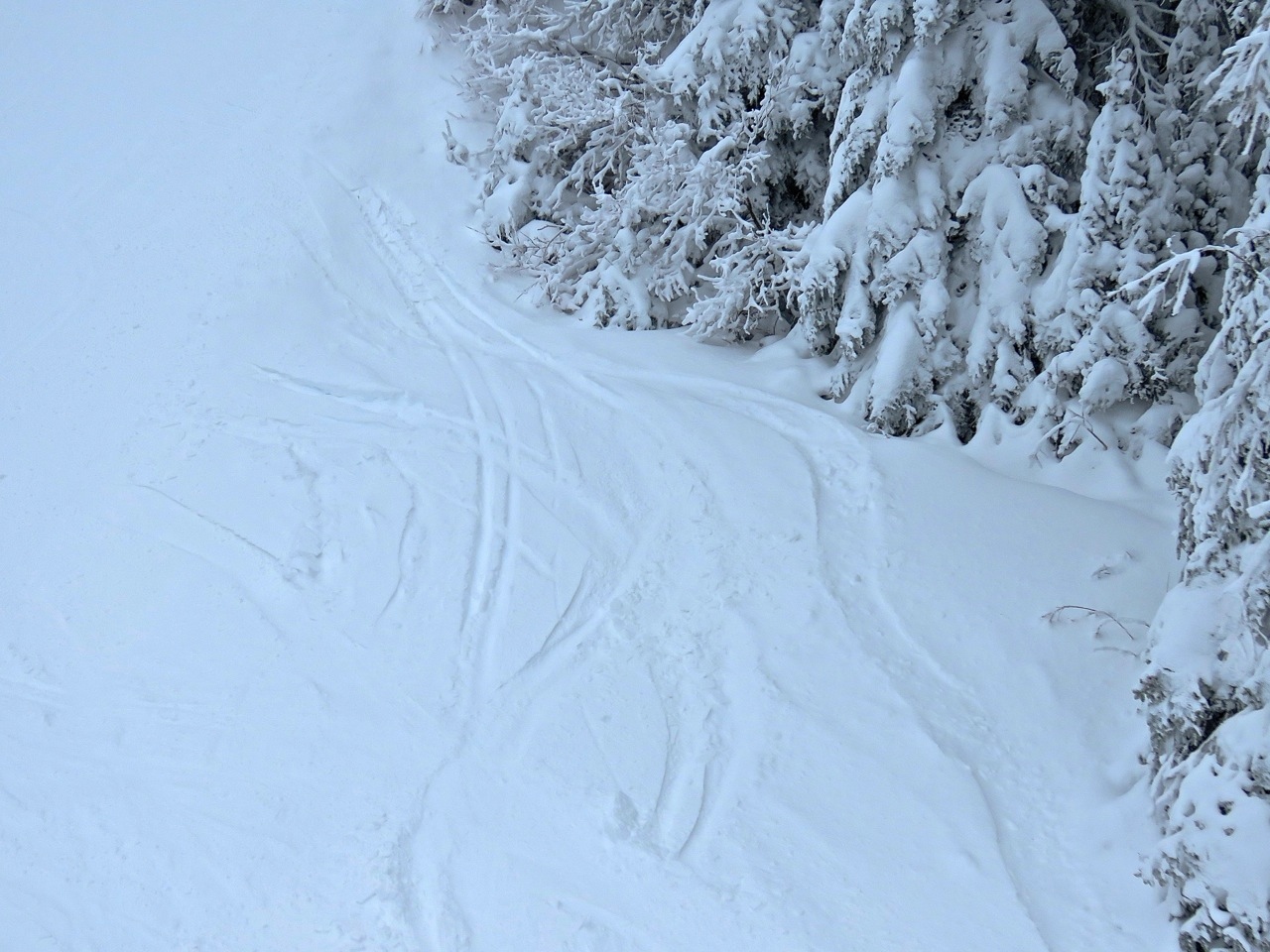 www.tremblant360.com photo. All rights reserved.