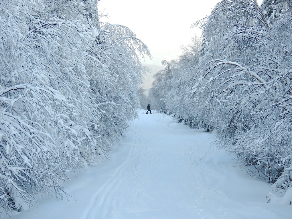 www.tremblant360.com photo. All rights reserved.