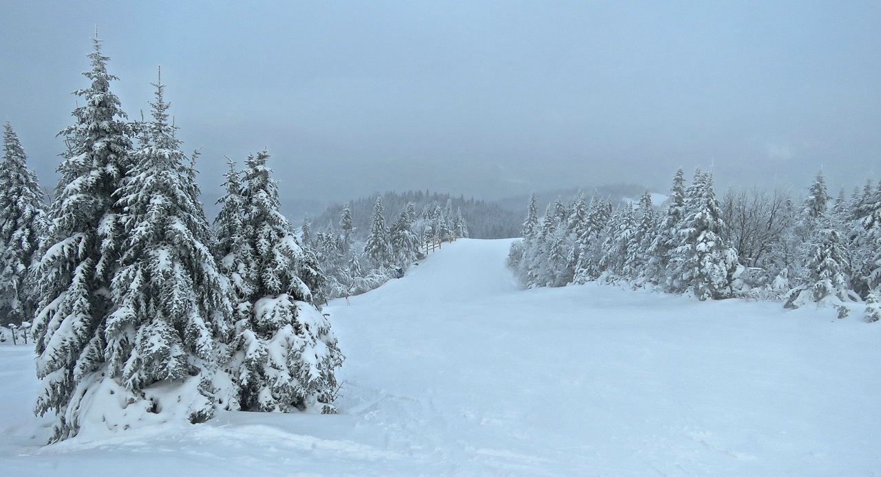 www.tremblant360.com photo. All rights reserved.