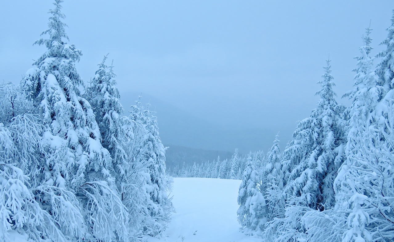 www.tremblant360.com photo. All rights reserved.