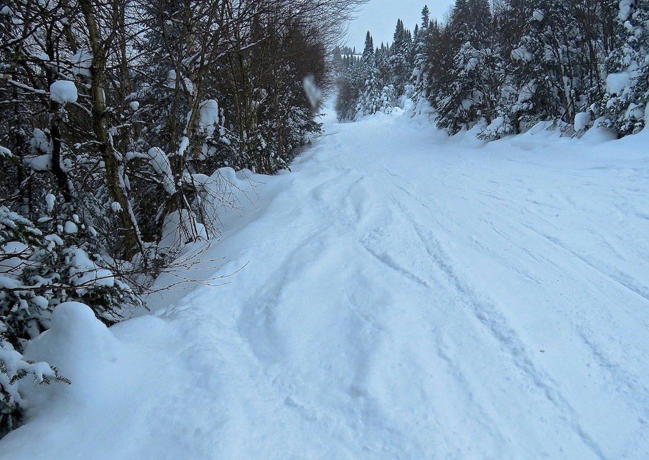 www.tremblant360.com photo. All rights reserved.