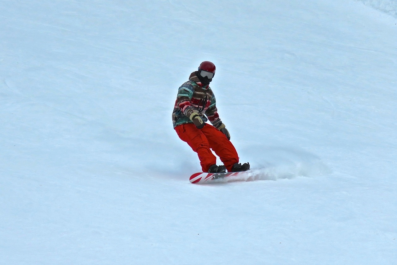 3.4.15.PB.224.Sud.South.Johannsen.Shred.This.Surface.Sample.d.jpg