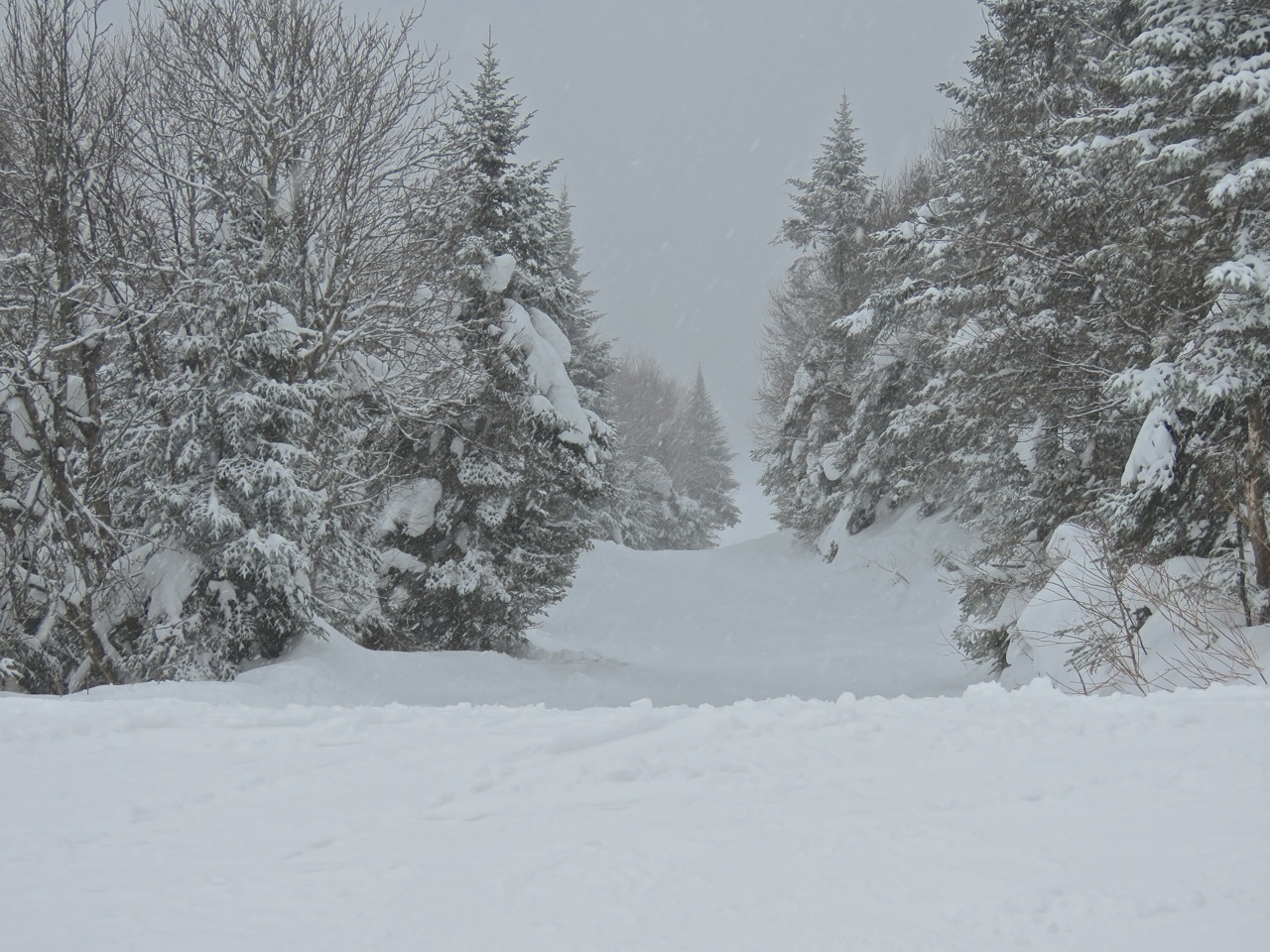 www.tremblant360.com photo. All rights reserved.