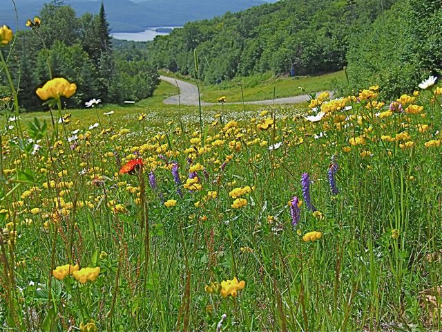 www.tremblant360.com photo. All rights reserved.