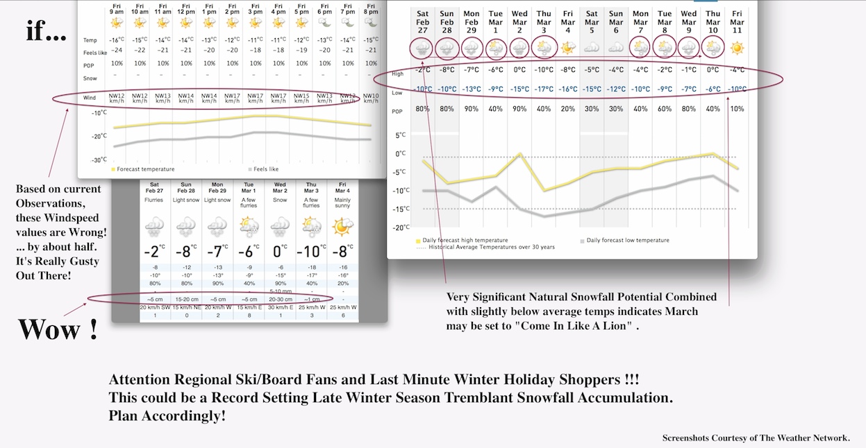 Screenshots Courtesy of The Weather Network.