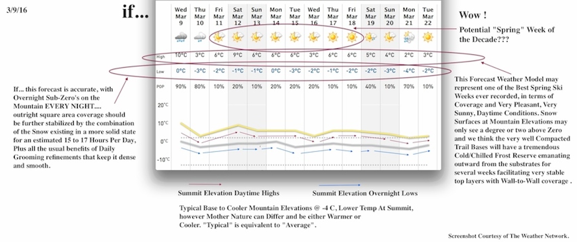 Screenshot Courtesy of The Weather Network.