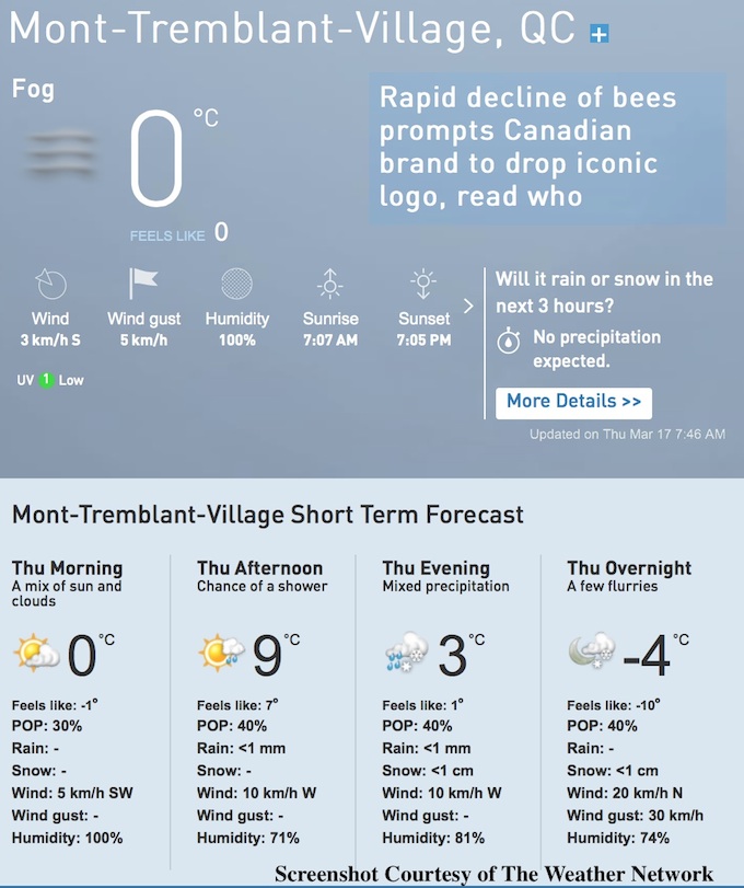 Screenshot Courtesy of The Weather Network.