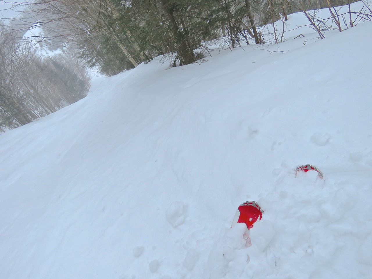 www.Tremblant360.com photo. All rights reserved.