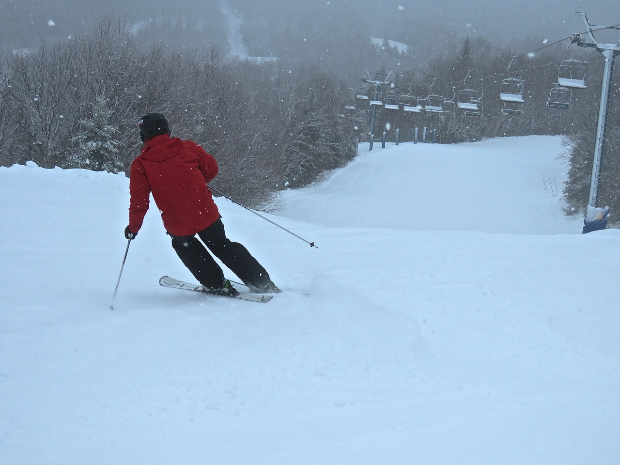 4.8.16.Lowell.Thomas.Bas.Lower.Groomed.Smooth.f.jpg
