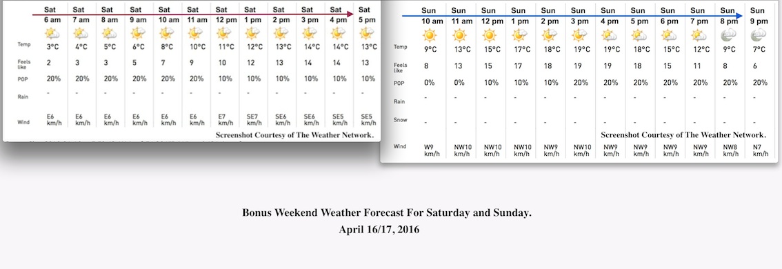 Screen Shot 2016-04-19 at 1.25.09 AM.jpg