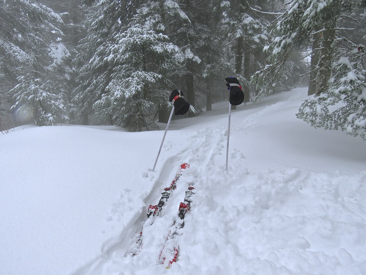 www.tremblant360.com photo. All rights reserved.