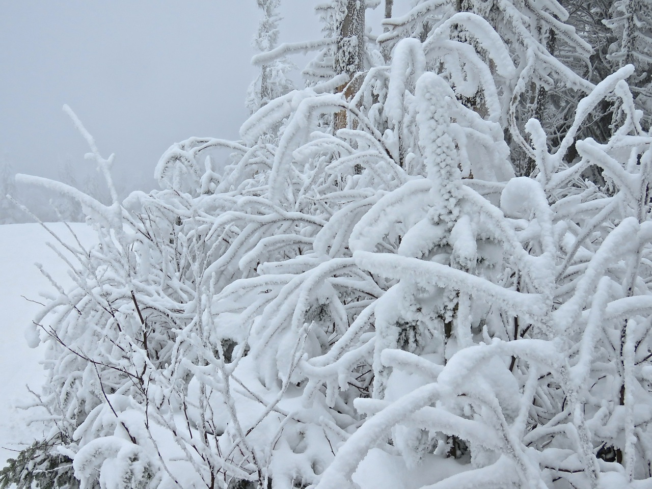www.tremblant360.com photo. All rights reserved.