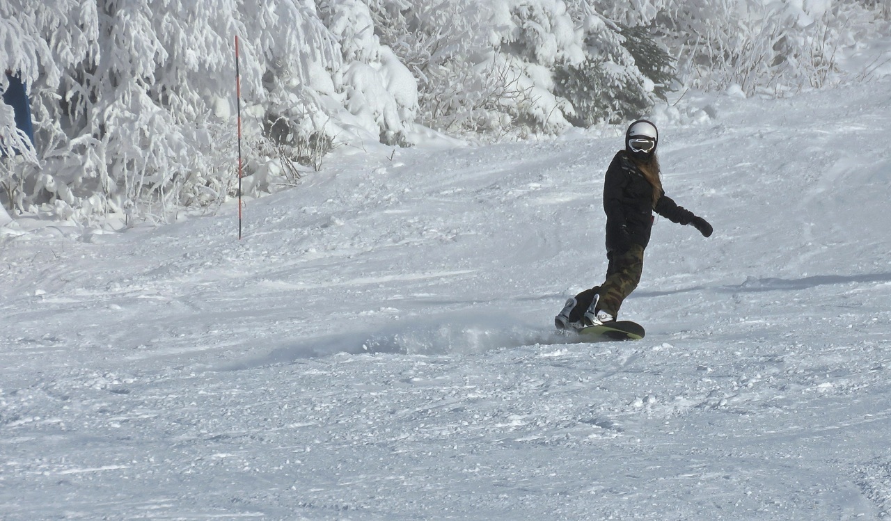 11.28.16.Beauvallon.Shred.Sunny.Snow.c.jpg