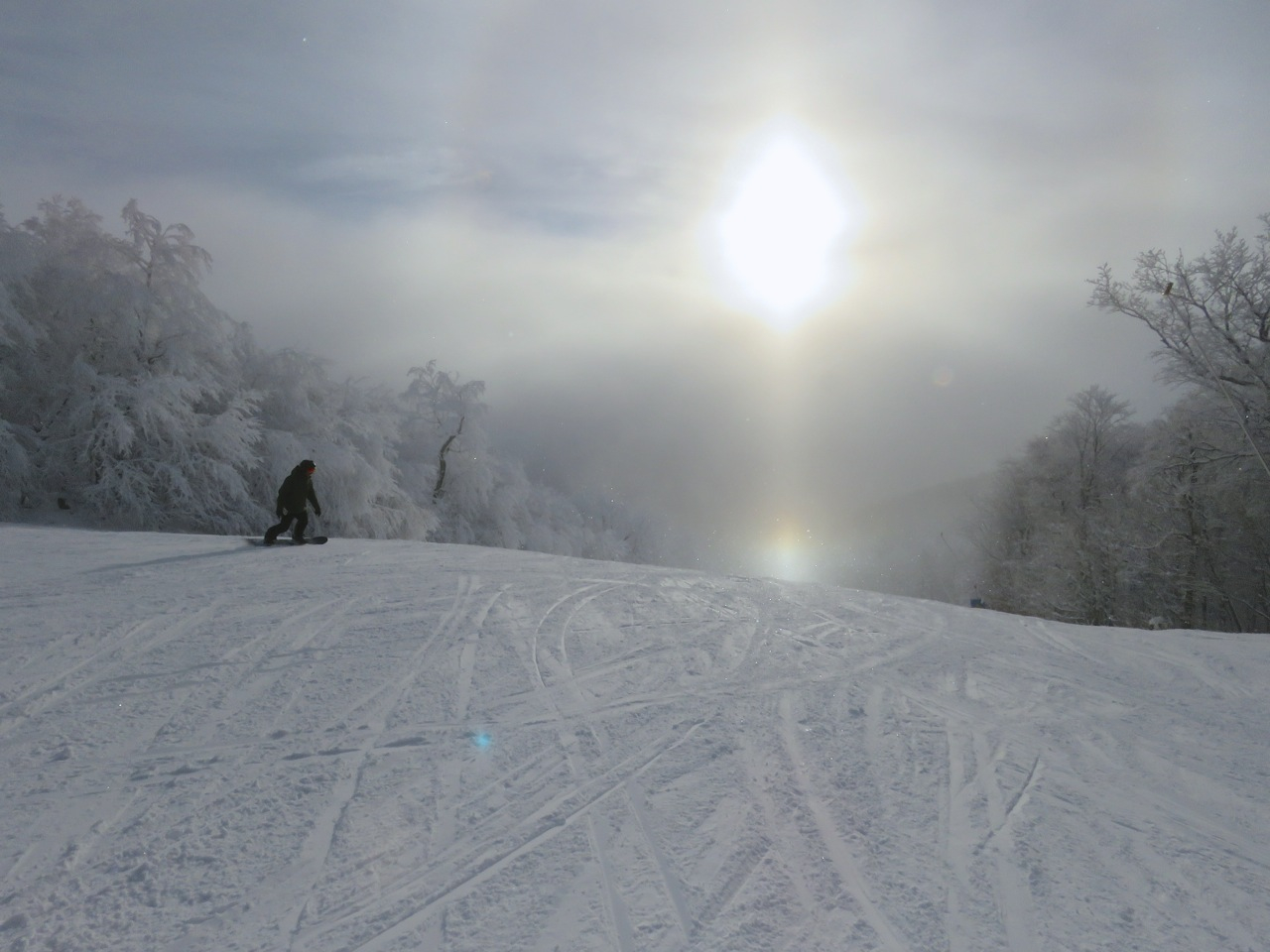 11.28.16.Beauvallon.Sunny.Sun.Dog.Snow.Silhouette.a.jpg