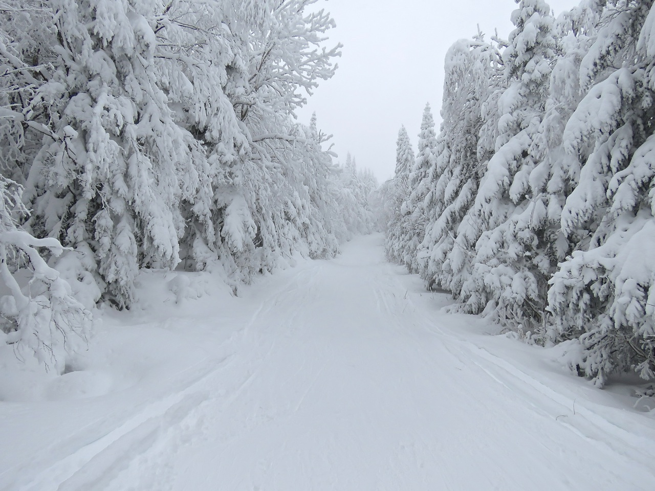 www.Tremblant360.com photo. All rights reserved.