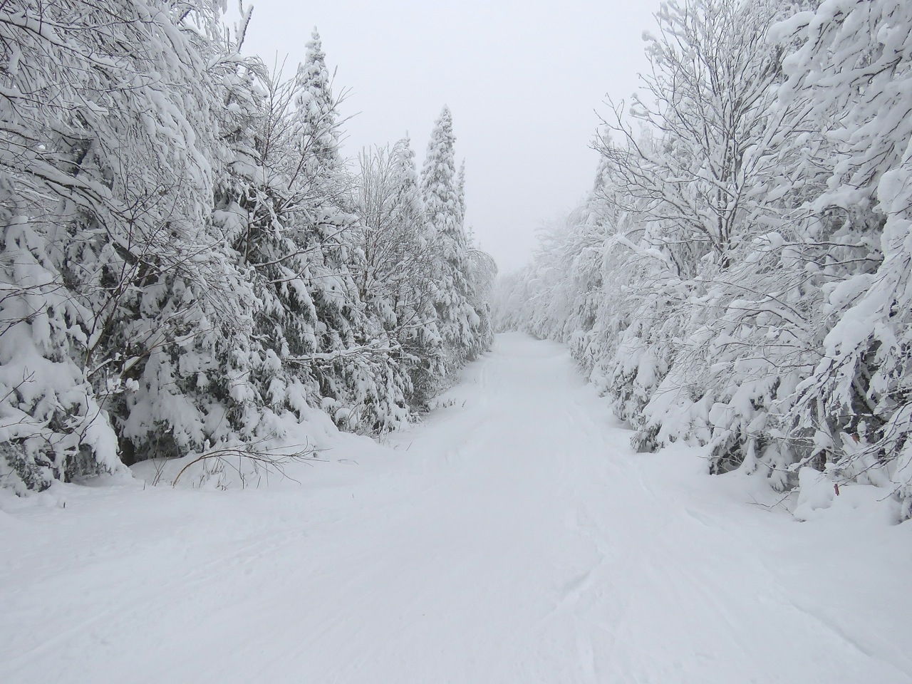 www.Tremblant360.com photo. All rights reserved.