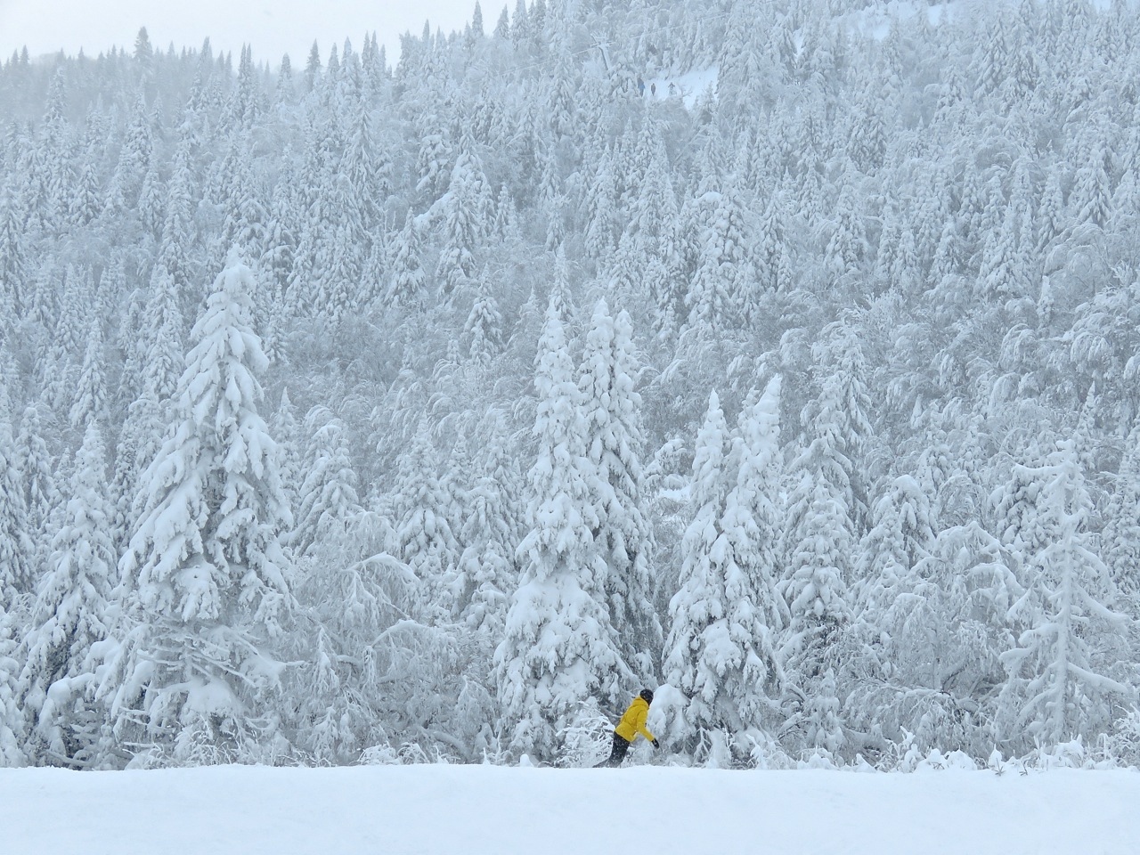 www.Tremblant360.com Photo. All rights reserved.