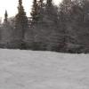 A Brief History of Snowboarding