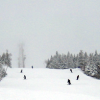 Tremblant Trail Review: Geant, North Side